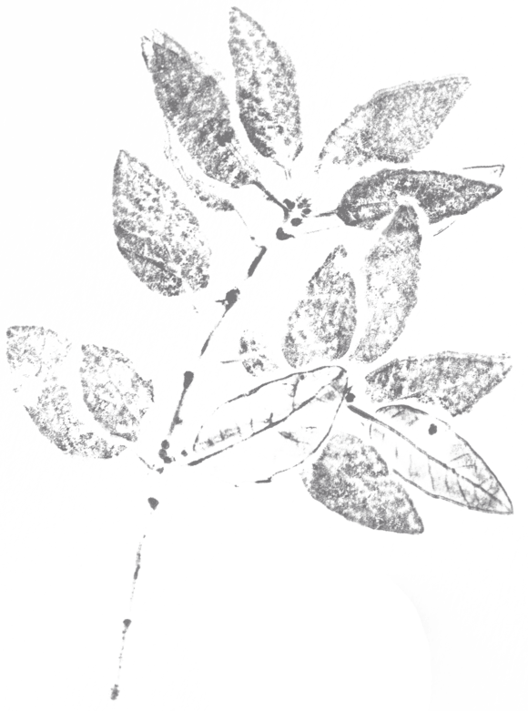 Leaf Left