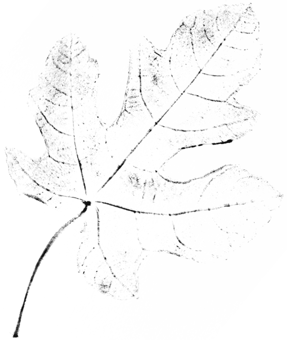 Autumn leaf top