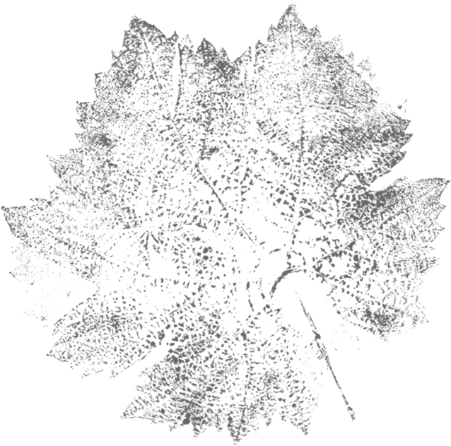Berliquet summer leaf