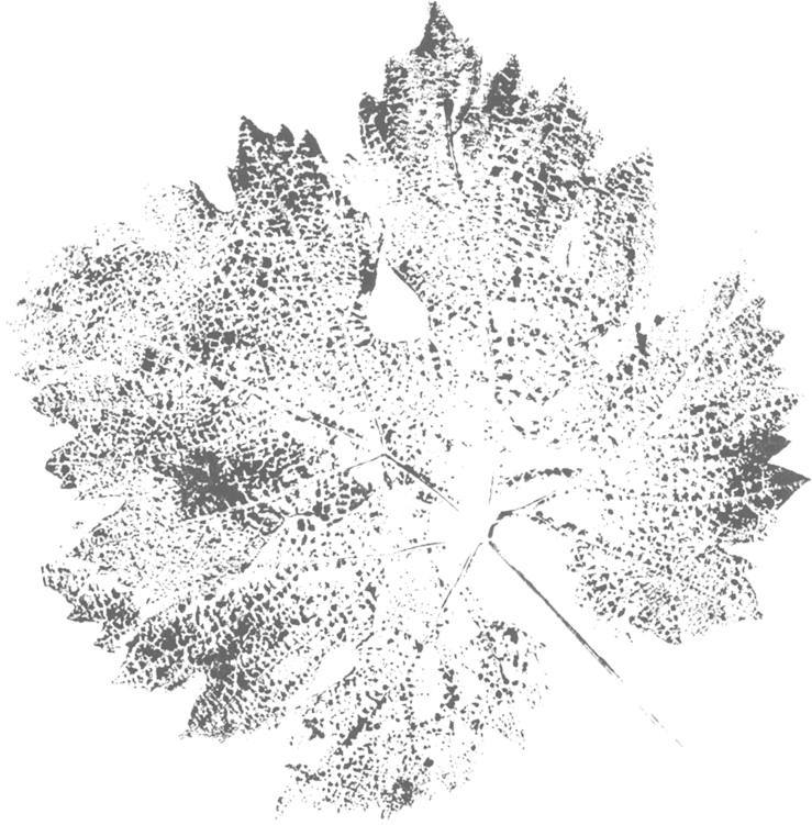 Leaf right